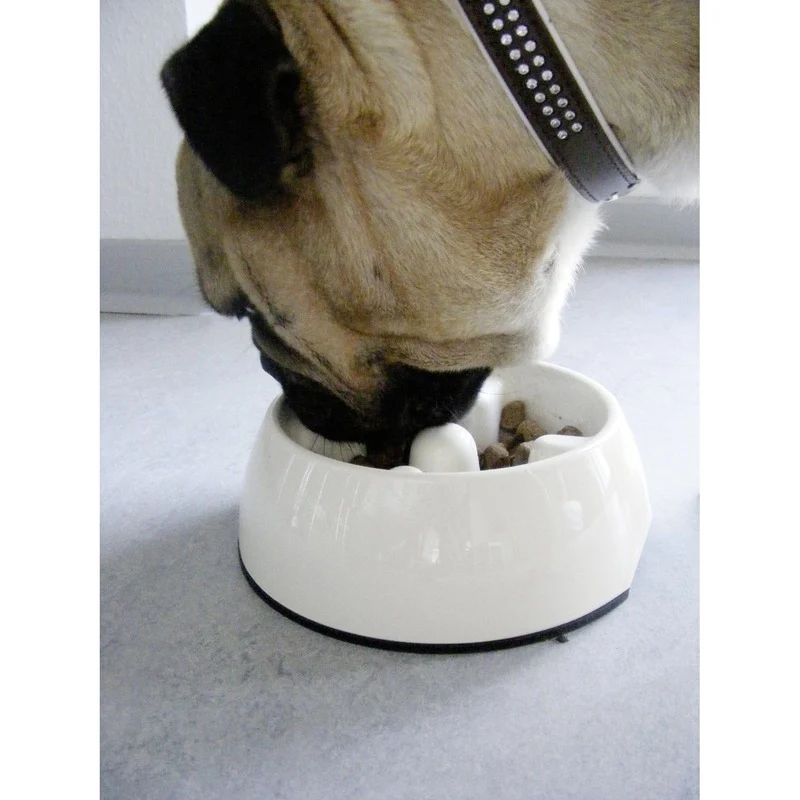Dogit Go Slow Hunde Antischling Napf