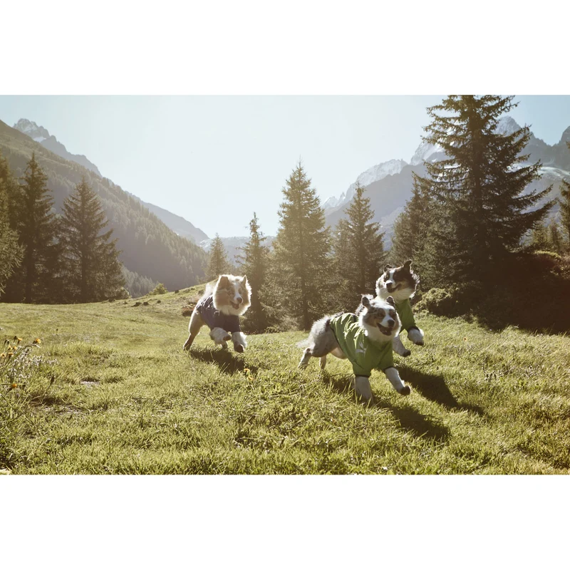 Hurtta Softshelljacke für Hunde Frost Jacket