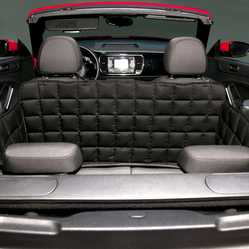 Doctor Bark 2-Sitzer 2-Türer Cabrio Autodecke