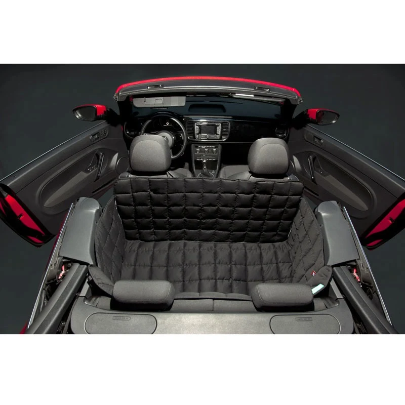 Doctor Bark 2-Sitzer 2-Türer Cabrio Autodecke