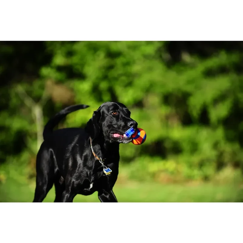 Chuckit Ultra Tug Ball mit Band