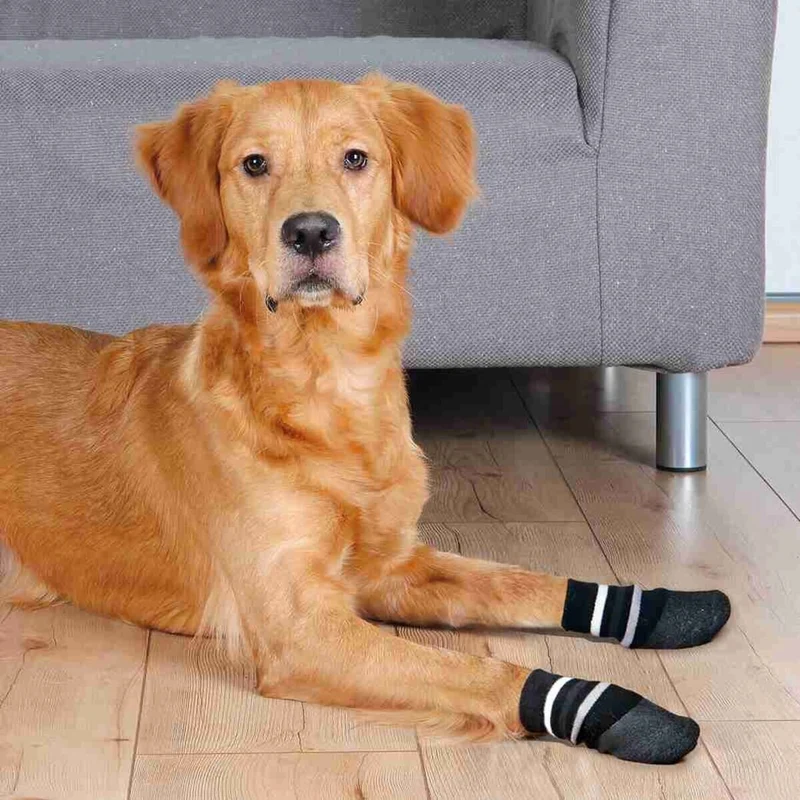 Hundesocken Anti Rutsch