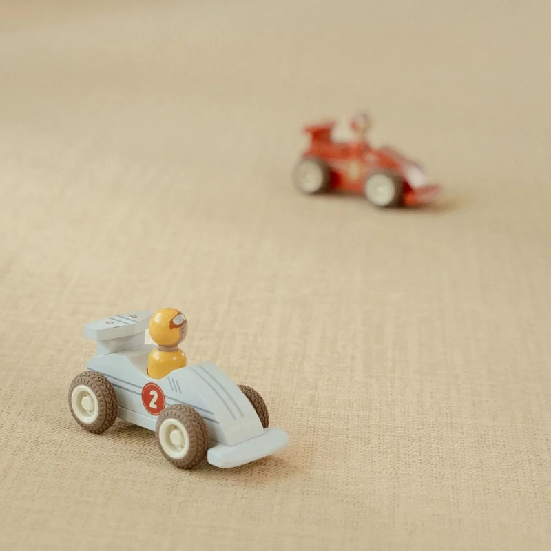 Pullback racewagens - Meerkleurig - Essentials