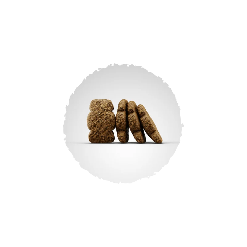 Josera Kids Welpenfutter