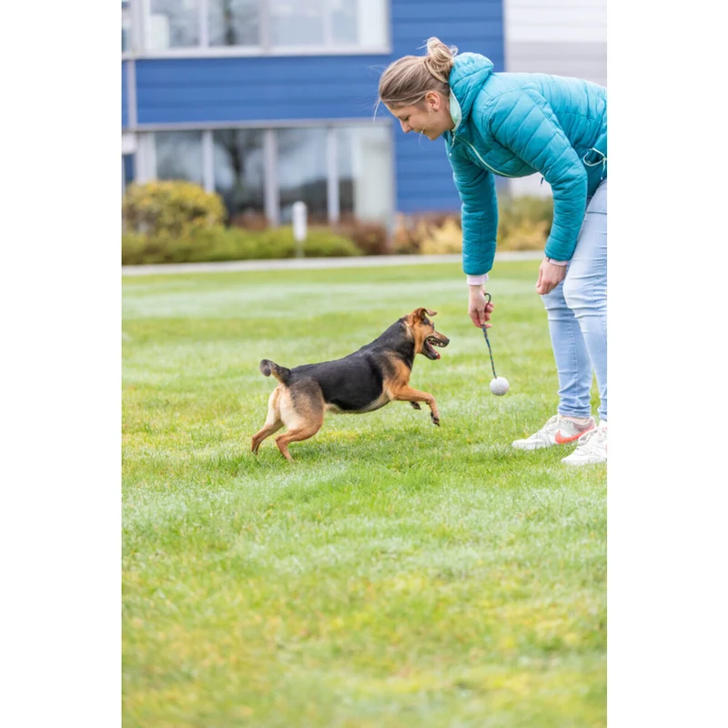 Hundeball am Seil