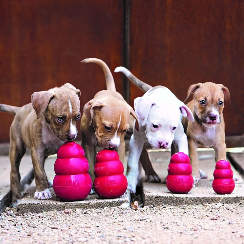 Classic rot Hundespielzeug