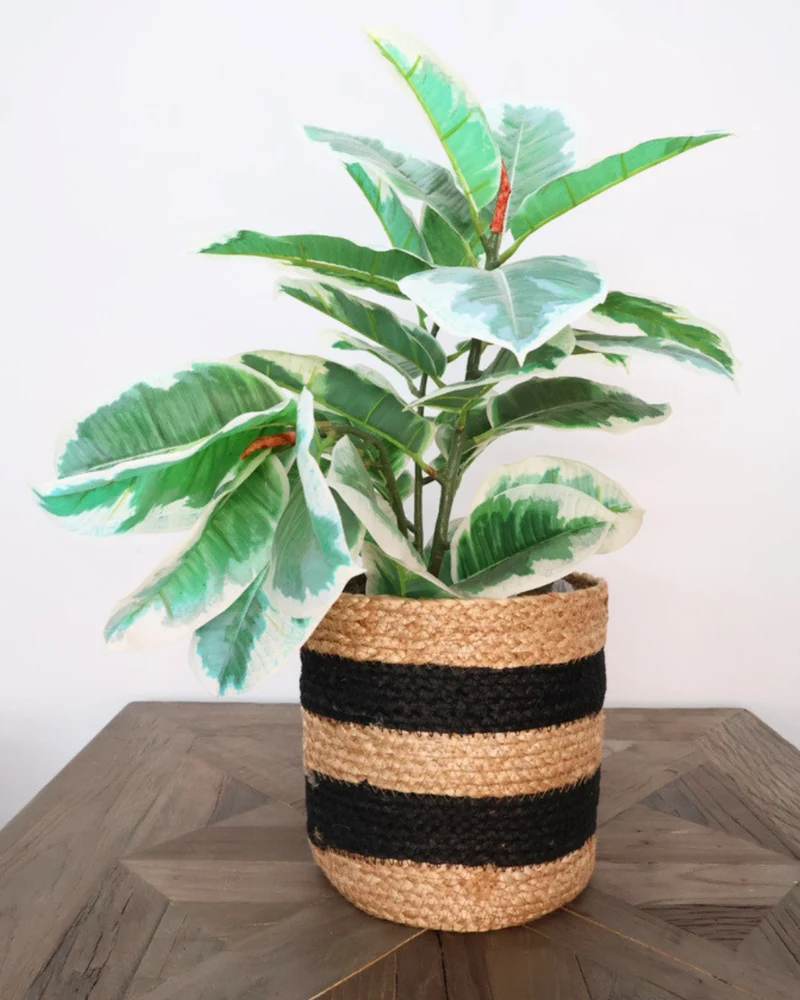 Sisal Blumentöpfe "Schwarz Beige" von Eigen en Anders