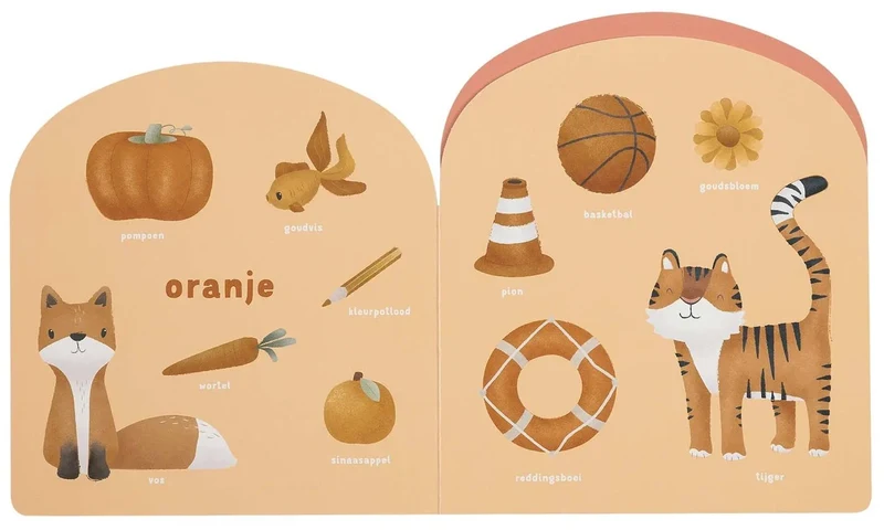 Kinderboek Regenboog Kleurenboek - NL