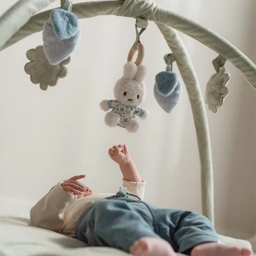 nijntje speelkleed met boog - Blauw - Lucky Leaves