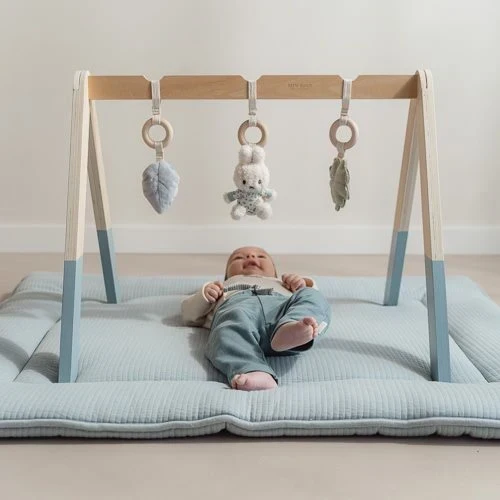 nijntje babygym - Blauw - Lucky Leaves