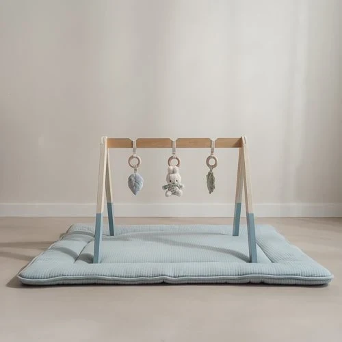 nijntje babygym - Blauw - Lucky Leaves