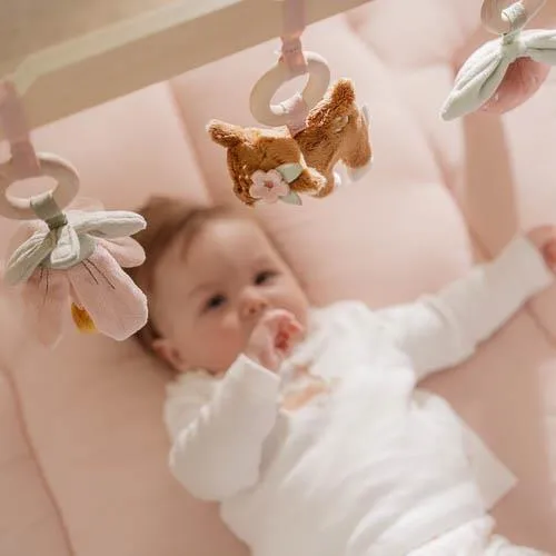 Babygym - Roze - Fairy Garden