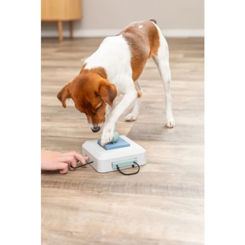 Dog Activity Strategiespiel Gamble Box für Hunde