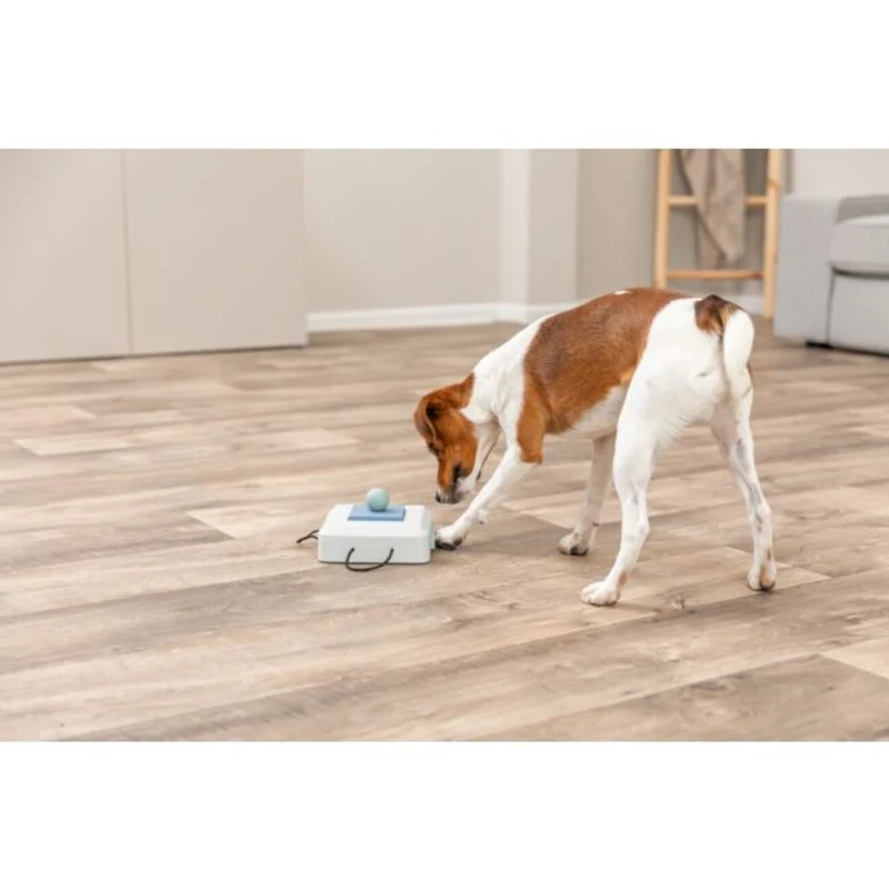 Dog Activity Strategiespiel Gamble Box für Hunde