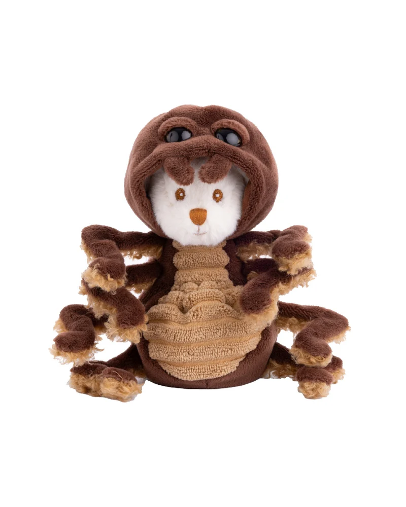 Spinnen Ziggy "Spider" von Bukowski