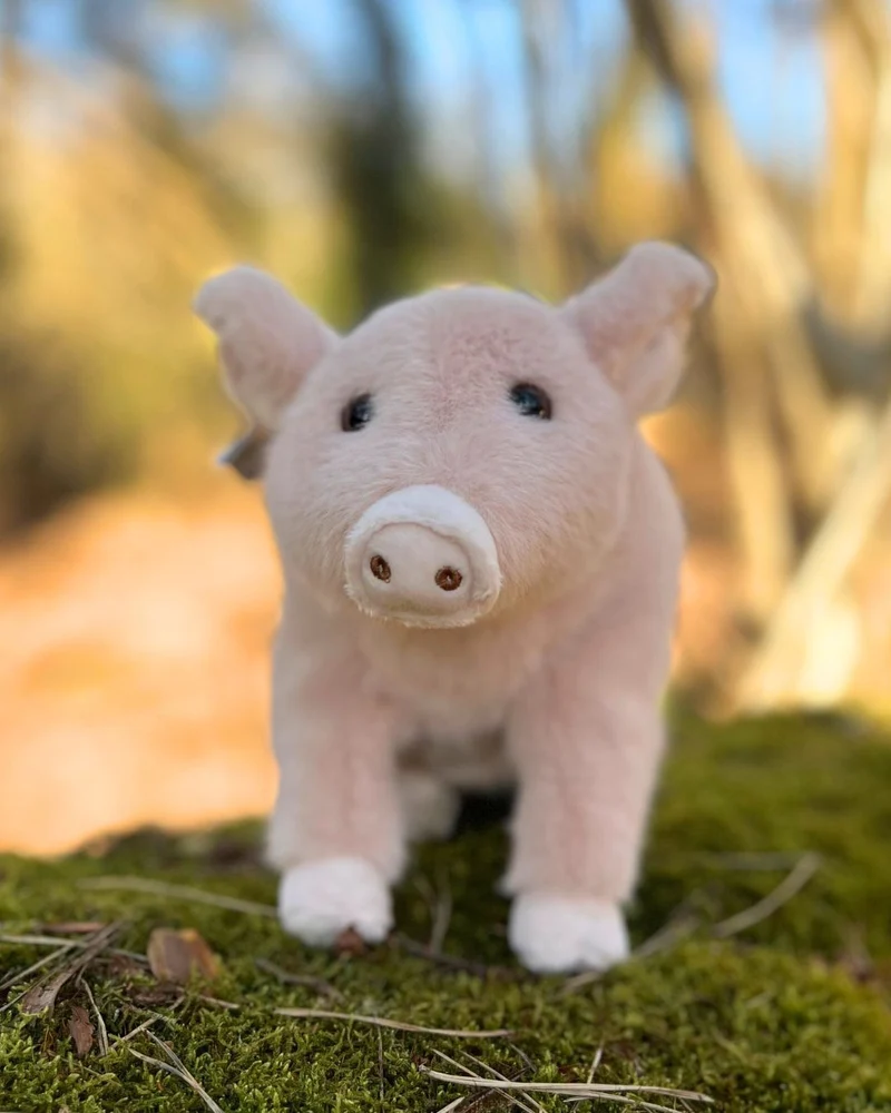 Schweinchen Kuscheltier "Oink" von Bukowski