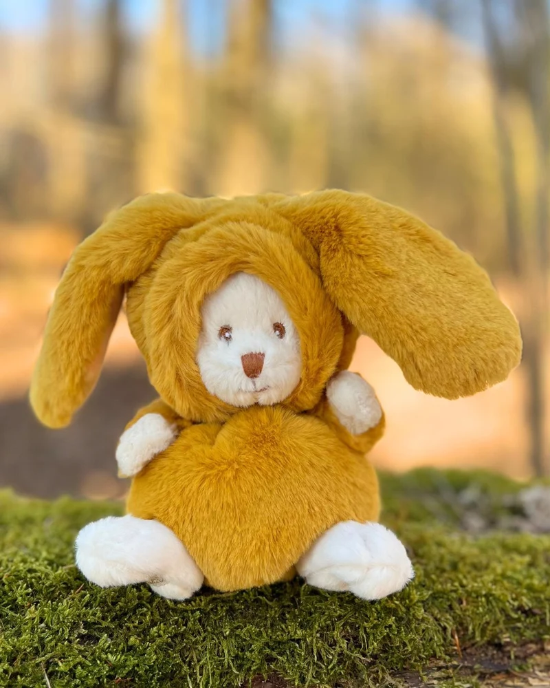 Hasen Ziggy Bunt von Bukowski