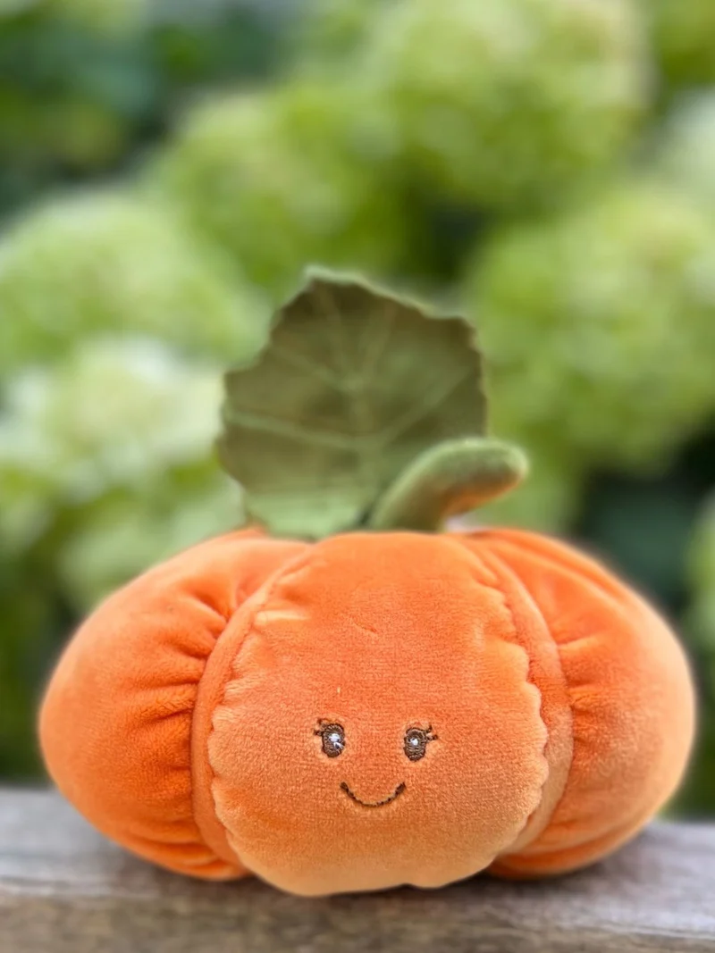 Kürbis Kuscheltier "Baby Pumpkin" von Bukowski