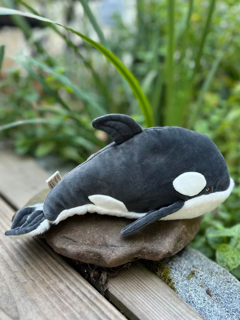 Schwertwal Kuscheltier "Baby Oreo" von Bukowski