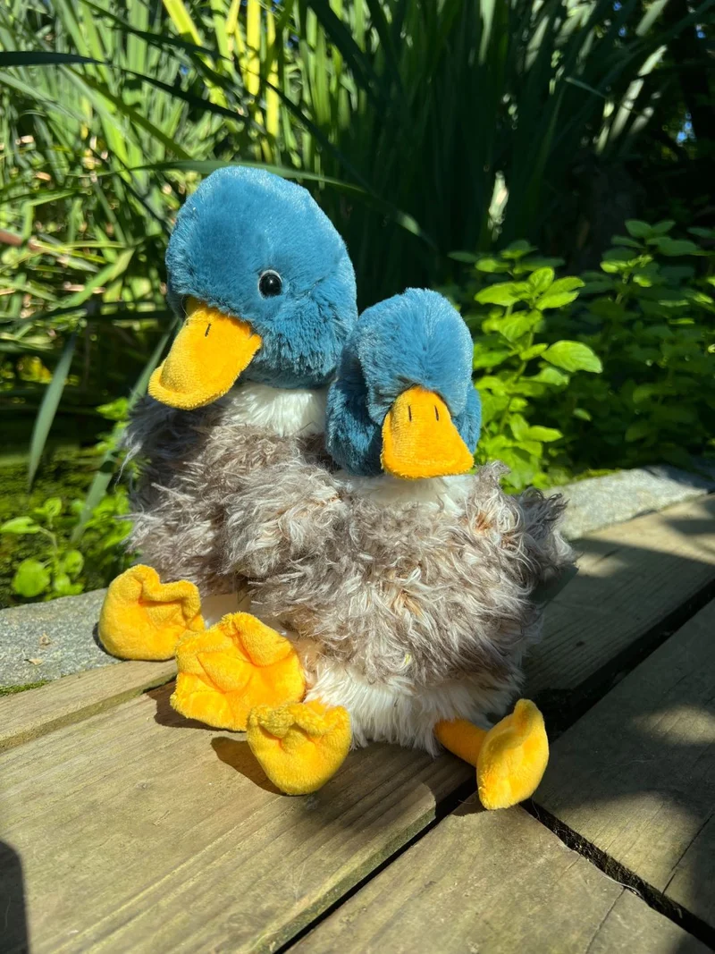 Enten Kuscheltier "Webster" von Wrendale Designs