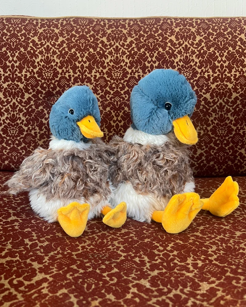 Enten Kuscheltier "Webster" von Wrendale Designs