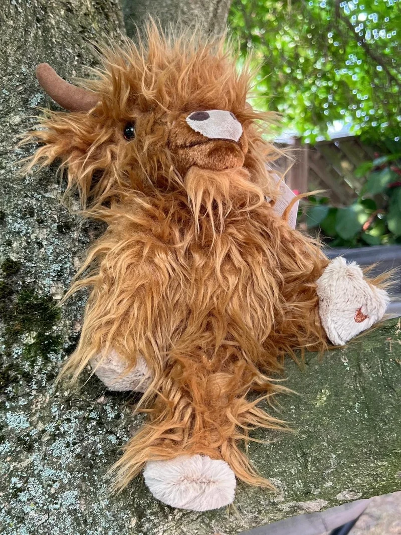 Highland Rind Kuscheltier "Gordon" von Wrendale Designs