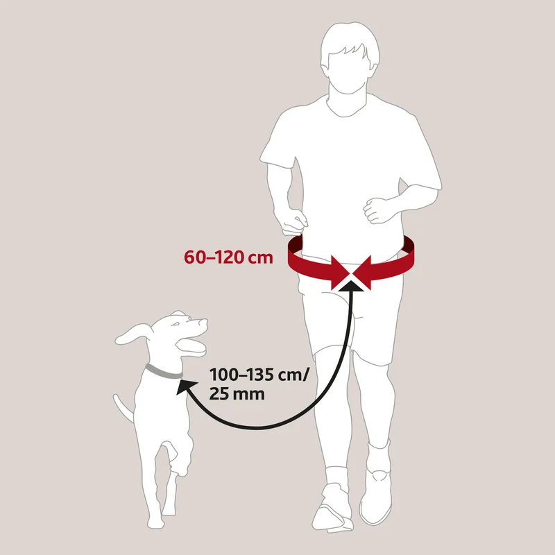 Hundeleine mit Bauchgurt, Hunde Joggingleine