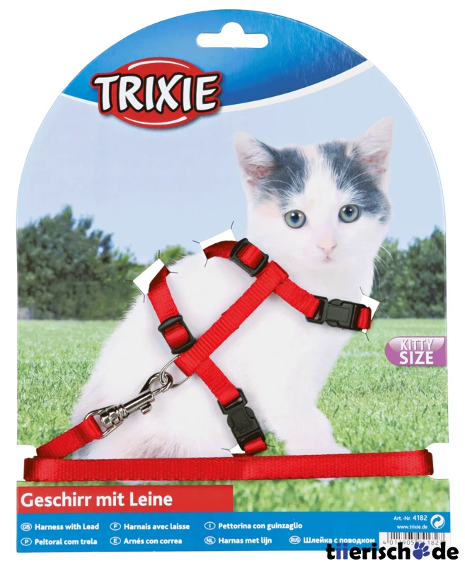 Katzengeschirr mit Leine für Kitten