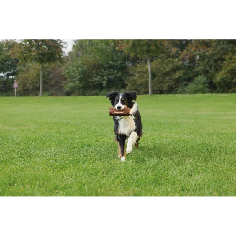 Trixie Preydummy Futterdummy von Jan Nijboer