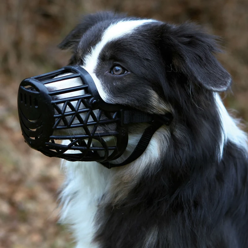Maulkorb aus Kunststoff für Hunde