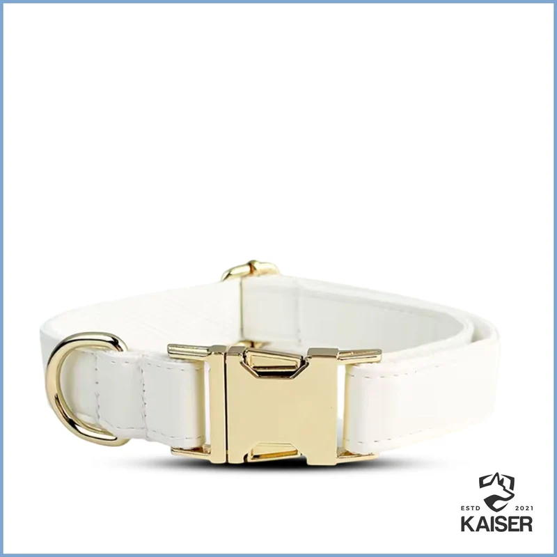 Elegantes weißes Hundehalsband mit Namen (5-teiliges Set verfügbar)