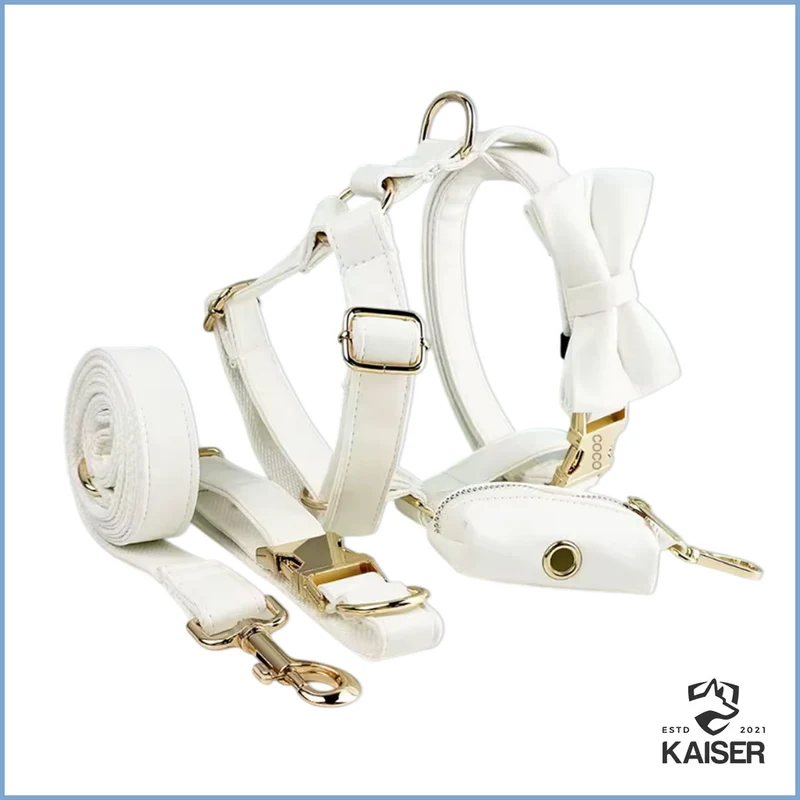 Elegantes weißes Hundehalsband mit Namen (5-teiliges Set verfügbar)