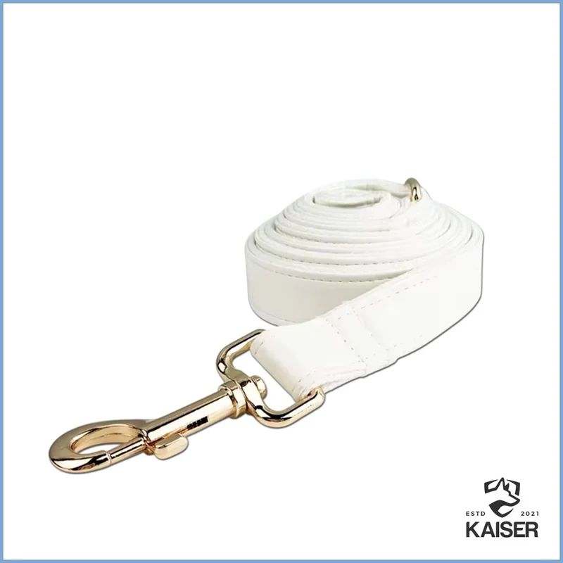 Elegantes weißes Hundehalsband mit Namen (5-teiliges Set verfügbar)