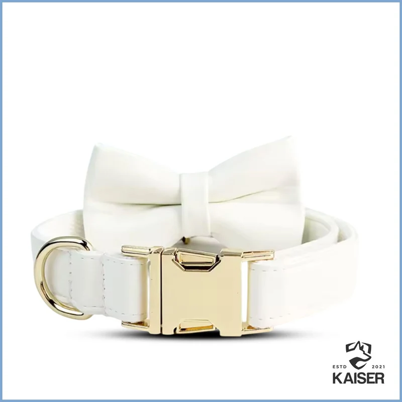 Elegantes weißes Hundehalsband mit Namen (5-teiliges Set verfügbar)