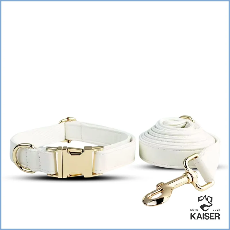 Elegantes weißes Hundehalsband mit Namen (5-teiliges Set verfügbar)