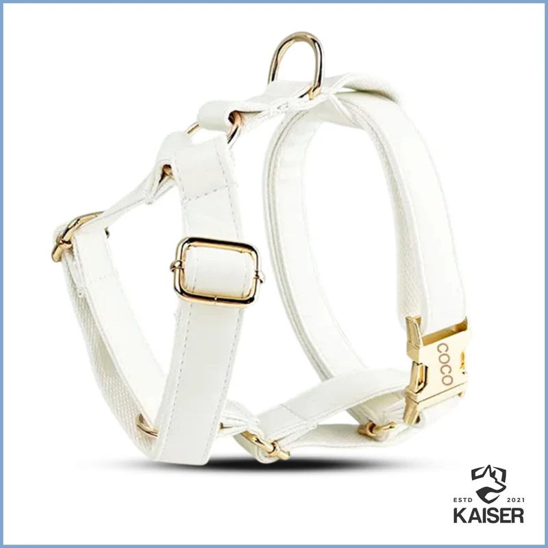 Elegantes weißes Hundehalsband mit Namen (5-teiliges Set verfügbar)