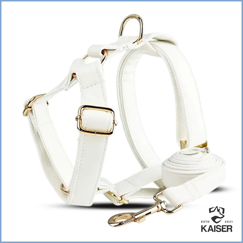 Elegantes weißes Hundehalsband mit Namen (5-teiliges Set verfügbar)