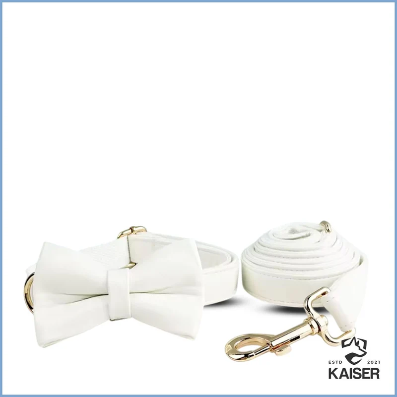 Elegantes weißes Hundehalsband mit Namen (5-teiliges Set verfügbar)