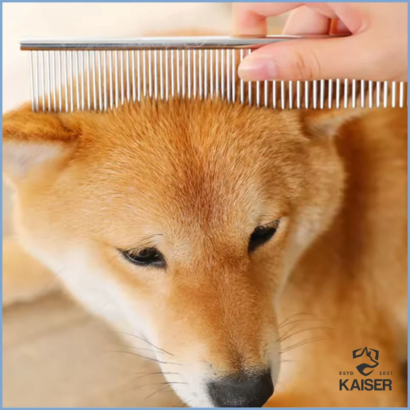 Kamm für Hunde
