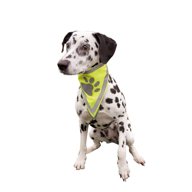 Sicherheits-Halstuch für Hunde