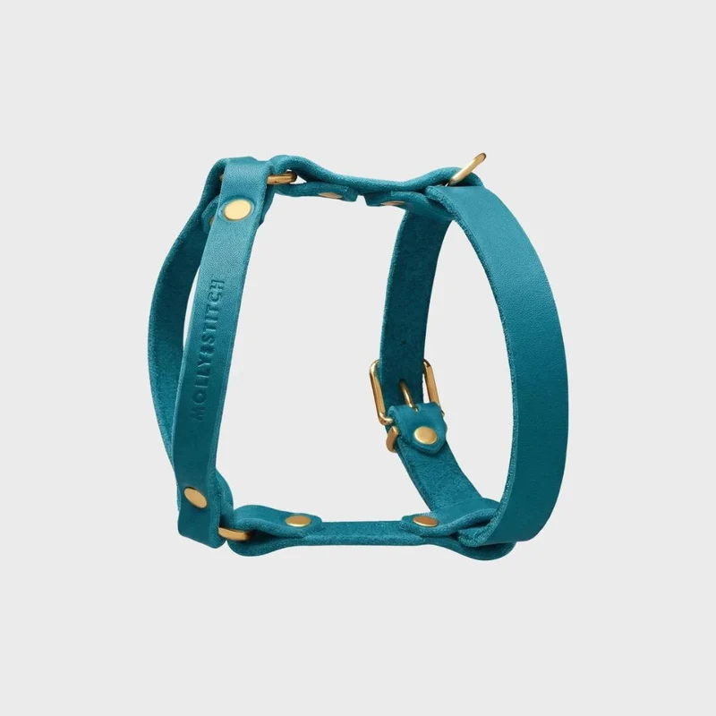 Sellerie Teckel Harnais en Y Cuir Butter Fiji Bleu