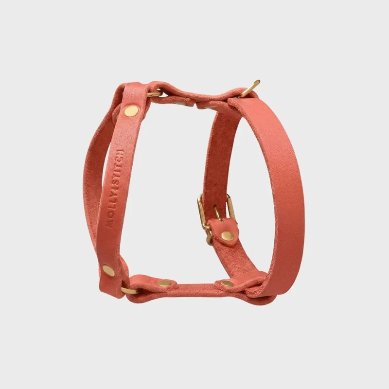 Sellerie Teckel Harnais en Y Cuir Butter Rose