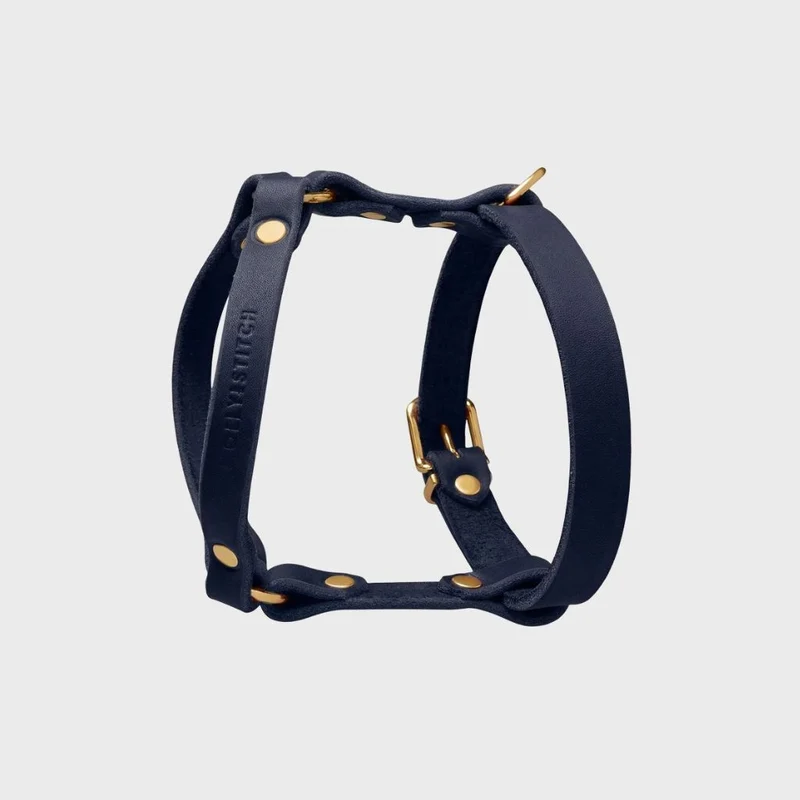 Sellerie Teckel Harnais en Y Cuir Butter Bleu