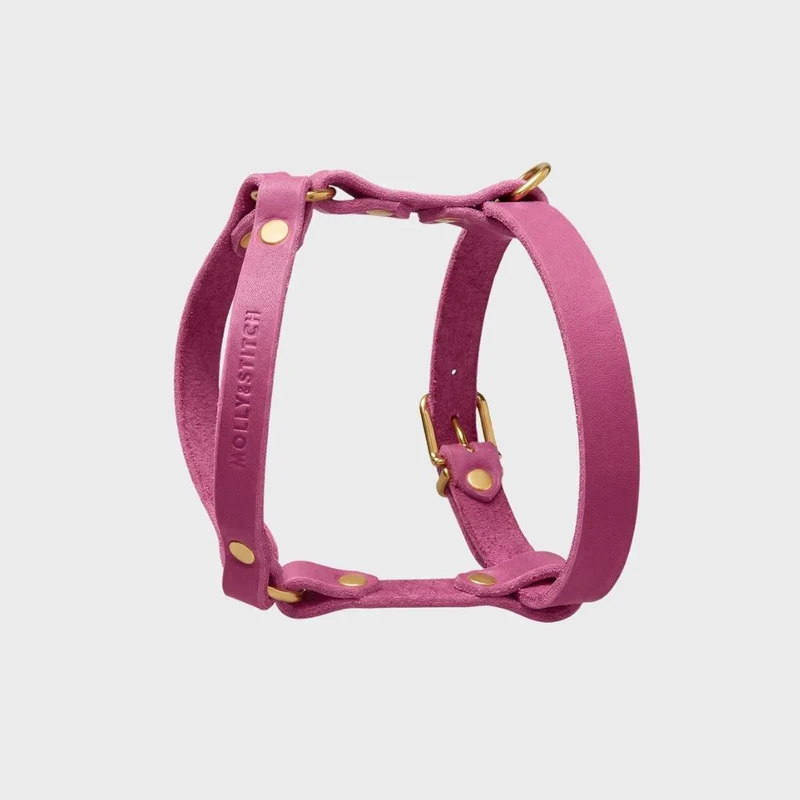 Sellerie Teckel Harnais en Y Cuir Butter Flamingo