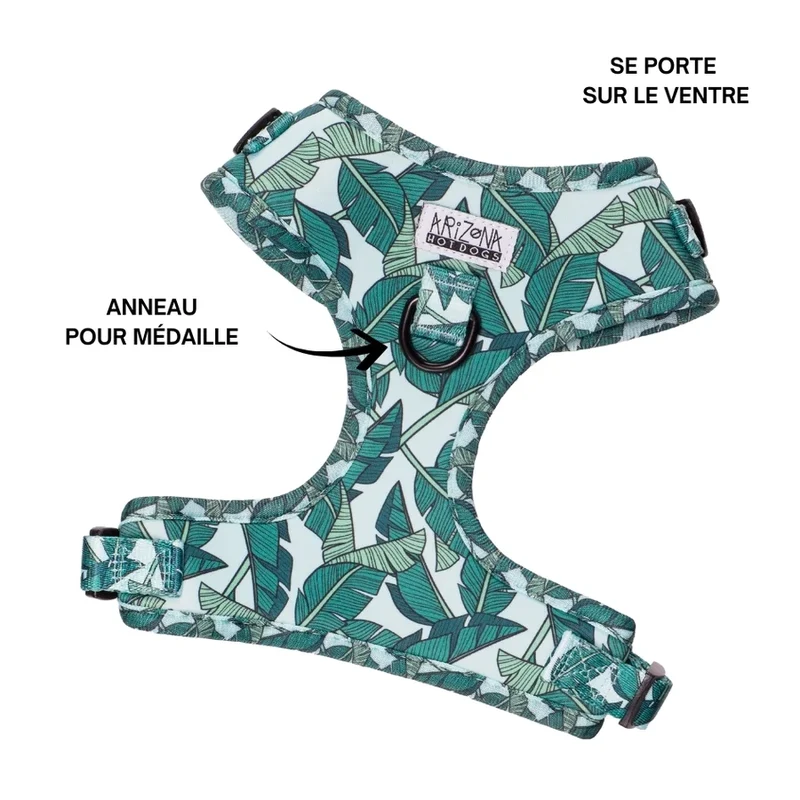 Sellerie Teckel Harnais Amazonia