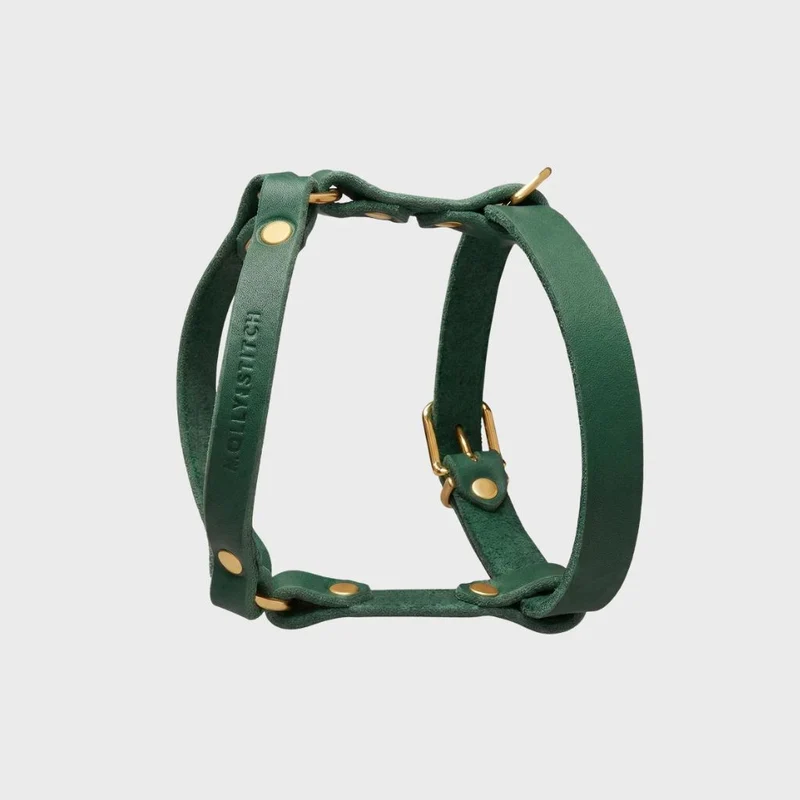 Sellerie Teckel Harnais en Y Cuir Butter Vert Foret
