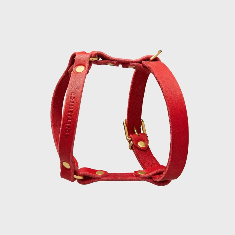 Sellerie Teckel Harnais en Y Cuir Butter Rouge