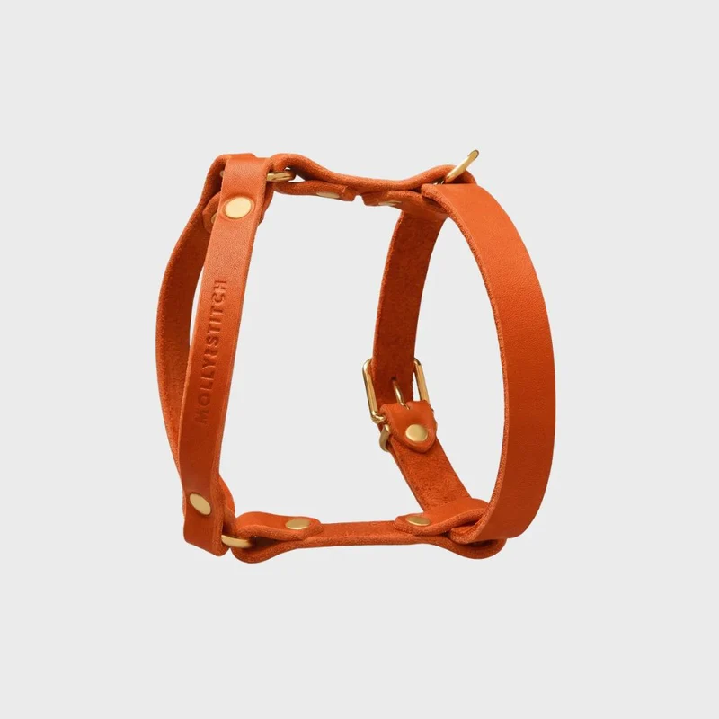 Sellerie Teckel Harnais en Y Cuir Butter Mangue