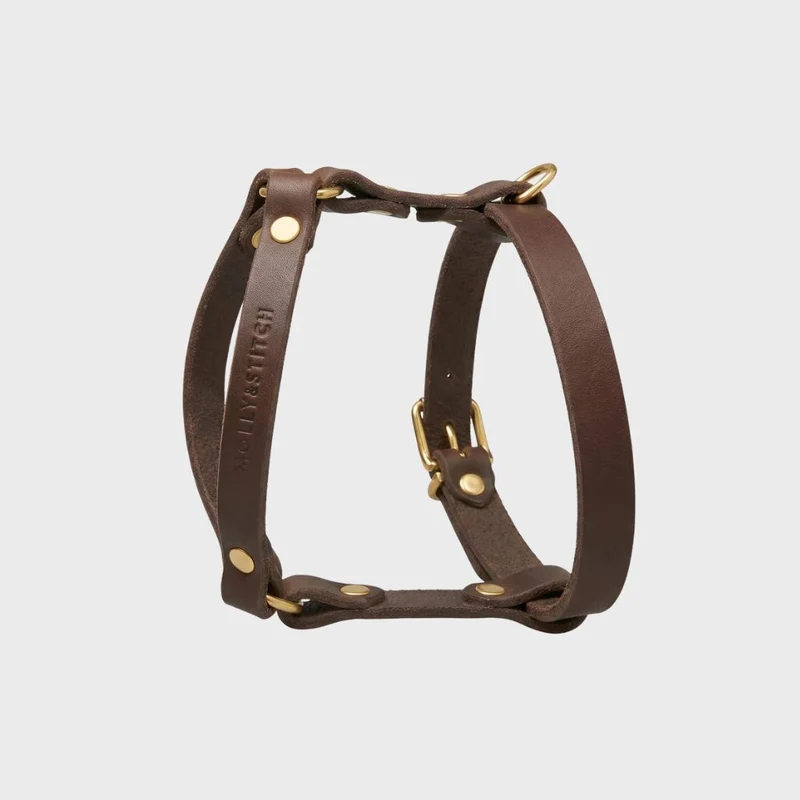 Sellerie Teckel Harnais en Y Cuir Butter Marron