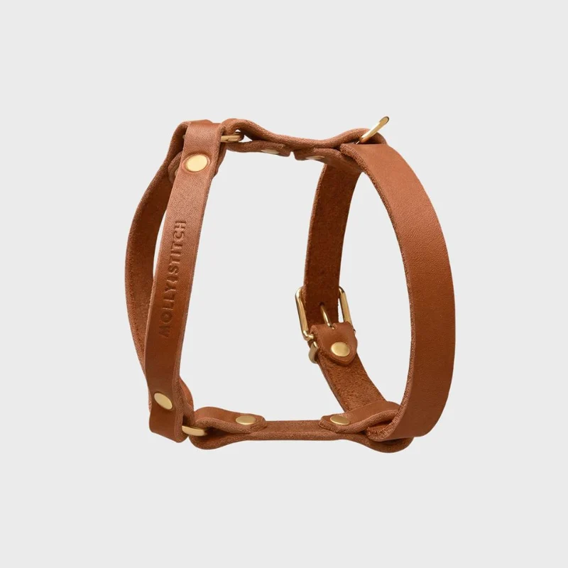 Sellerie Teckel Harnais en Y Cuir Butter Cognac